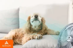 AERSON Bodenventilator 100W 40cm Windmaschine Tischventilator Ventilator Standventilator -Unold Store 81d9c642b8243a556548050a0990cf41